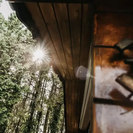Cosy And Romantic Forest House