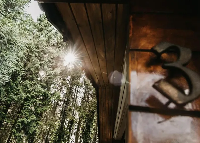 Cosy And Romantic Forest House