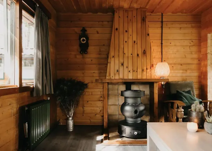 Cosy And Romantic Forest House Putten